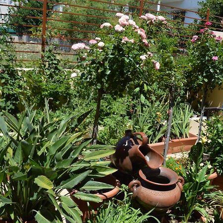 Villa Avatos - Near To The Port Of Rafina And The Airport Of Athens Agios Spyridon  외부 사진